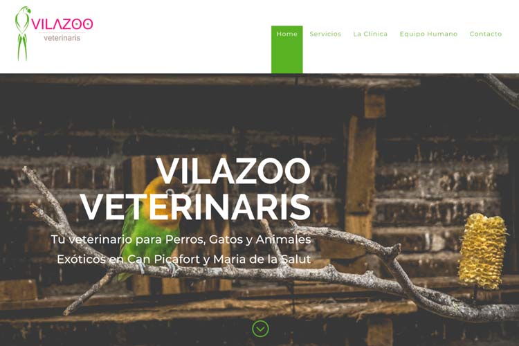Vilazoo Veterinaris