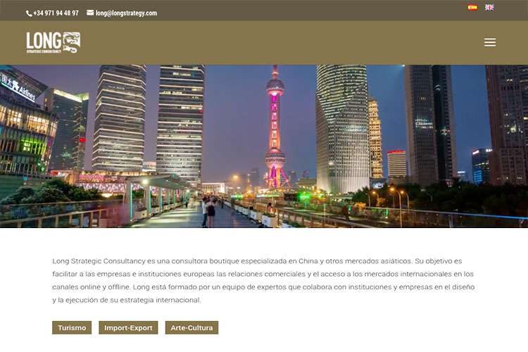 Long Strategic Consultancy